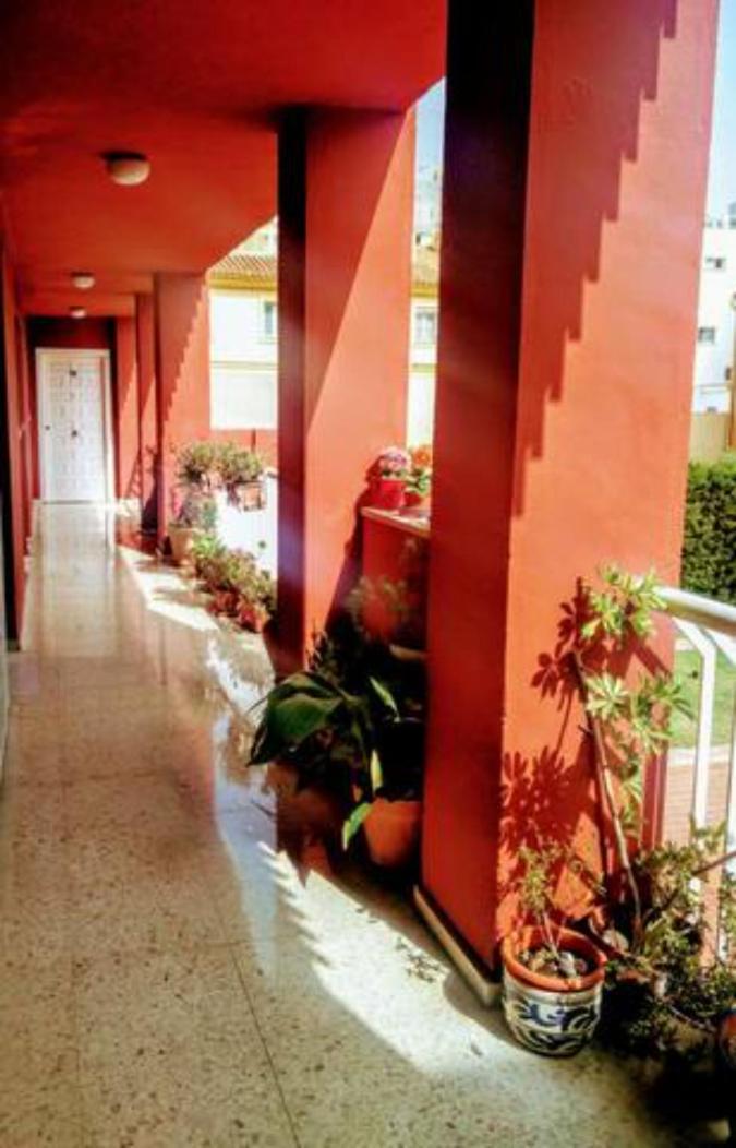 Bolivia Beach Apartments Málaga Dış mekan fotoğraf